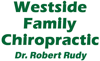 Dr Robert Rudy Logo